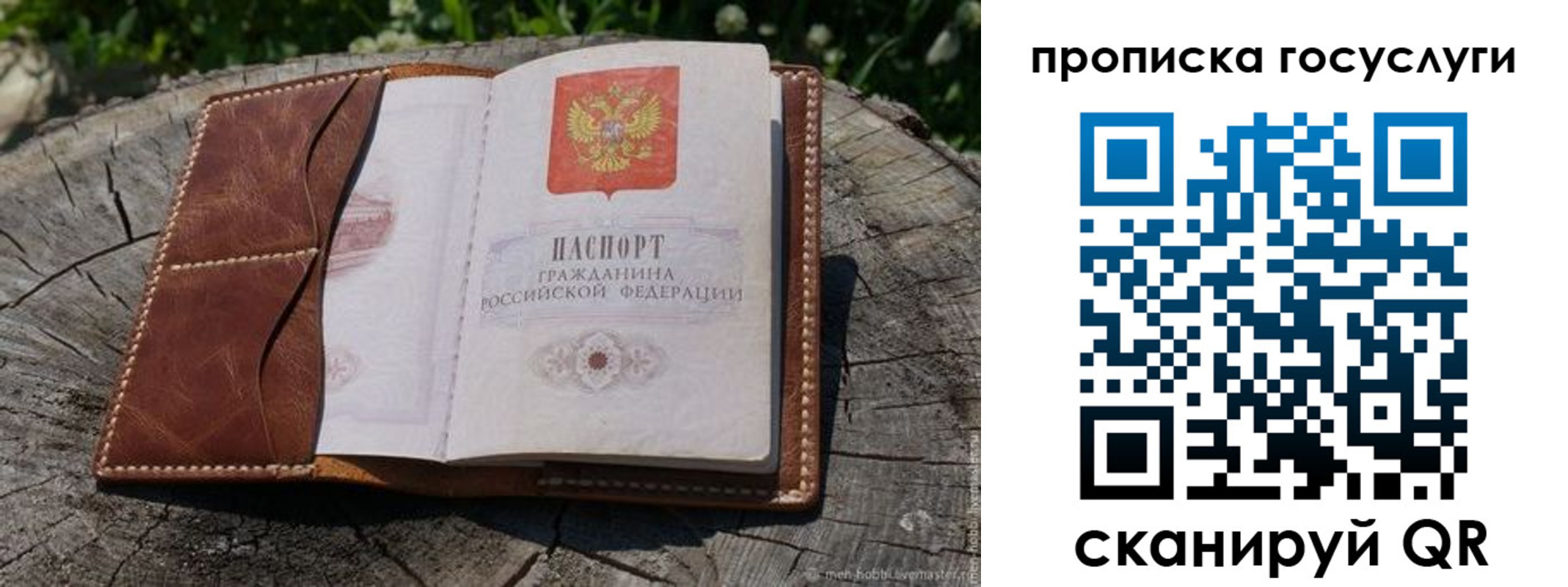 прописка для школы в Нижегородской области